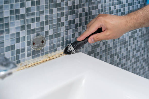 Dundee, MI Mold Remediation Company