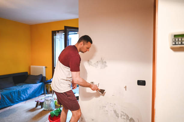 Best Crawl Space Mold Remediation in Dundee, MI